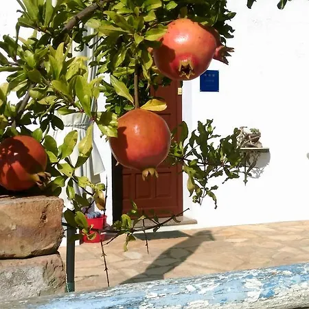 House Soni - 800 M From The Sea Holiday home *